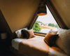 The Tree House @Test Product - Thumbnail 4