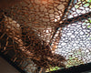 The Utopia @ Paradise Lake - Thumbnail 21